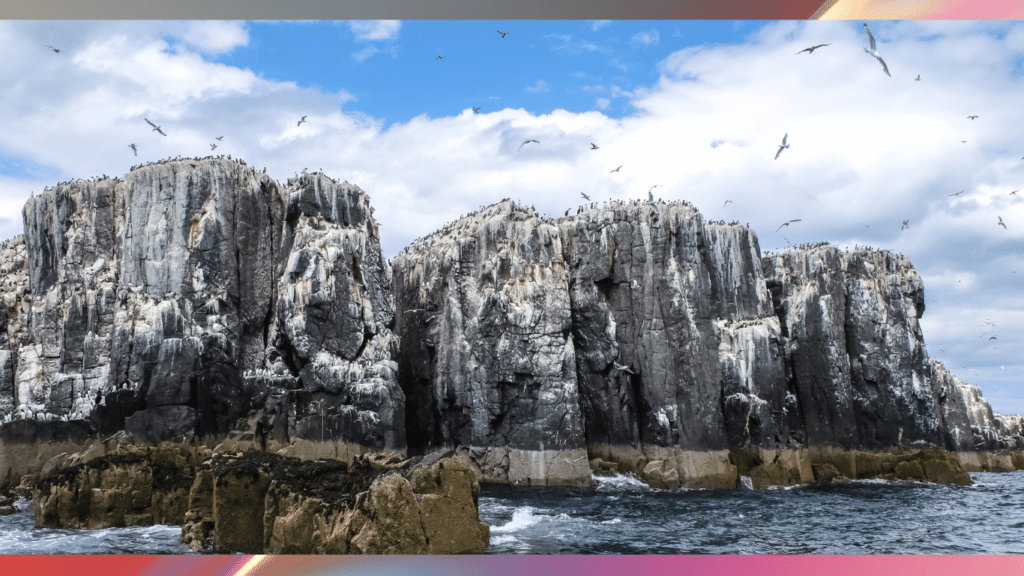 Farne Islands