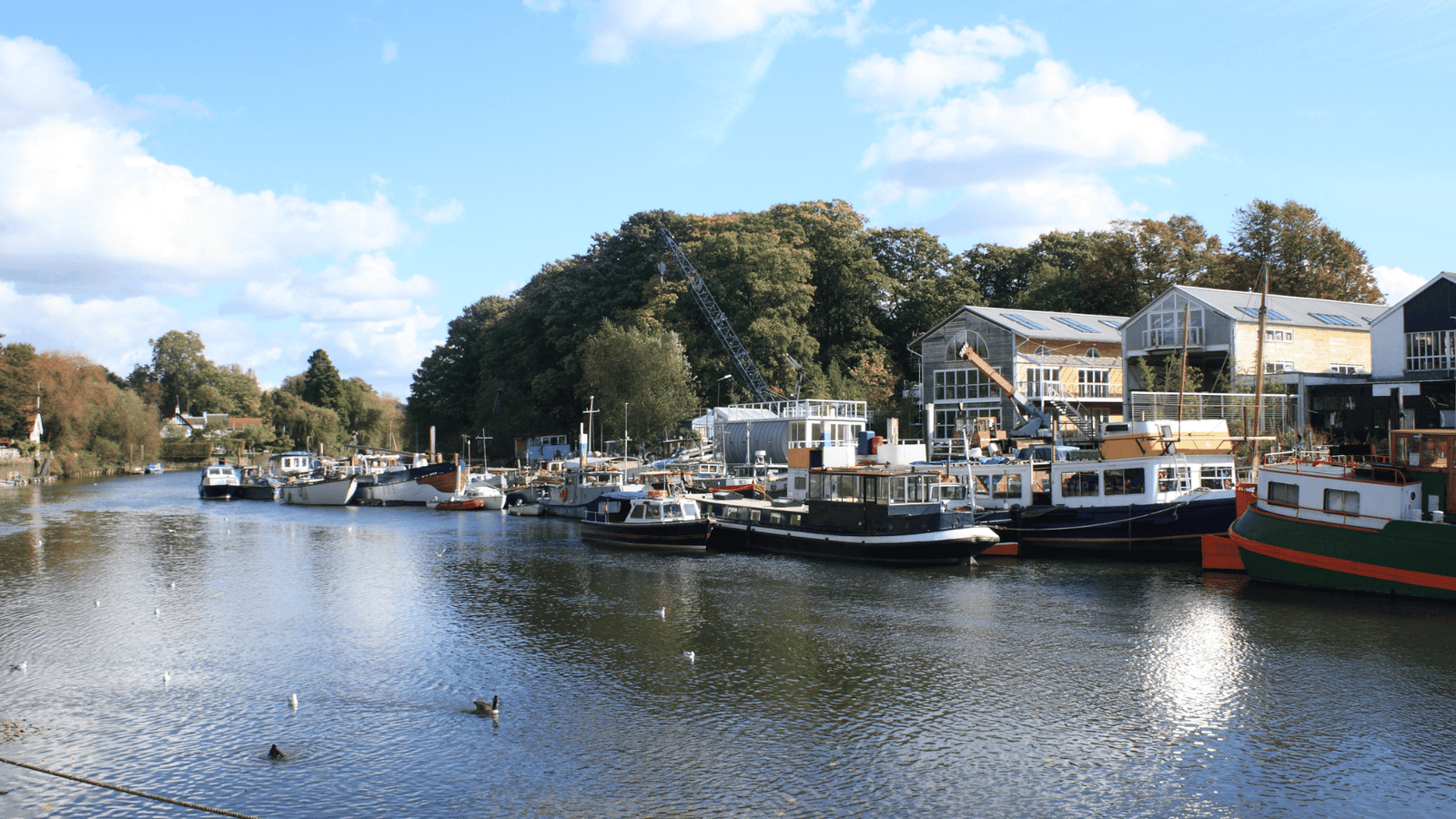 Eel Pie Island