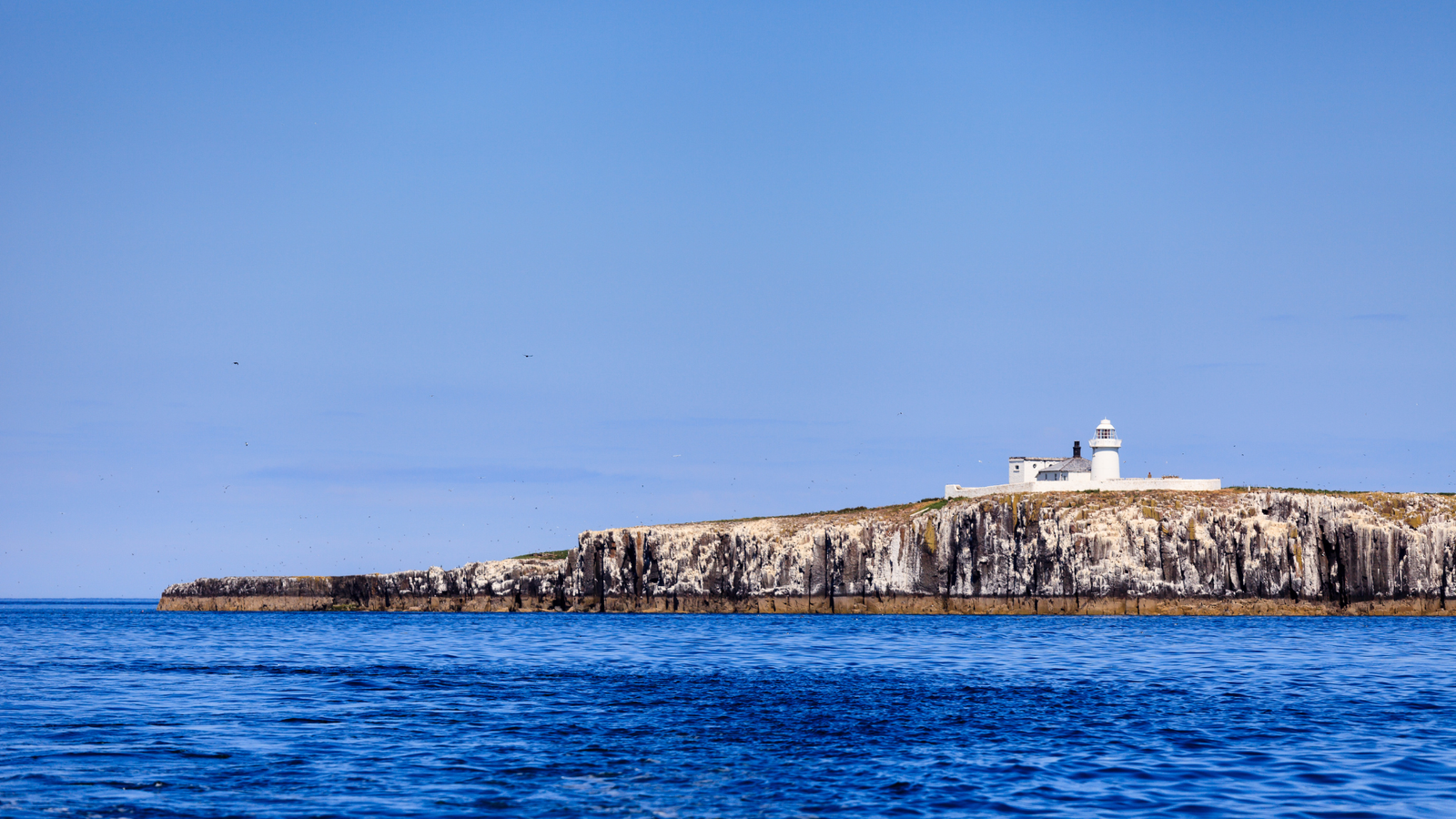 Farne Island