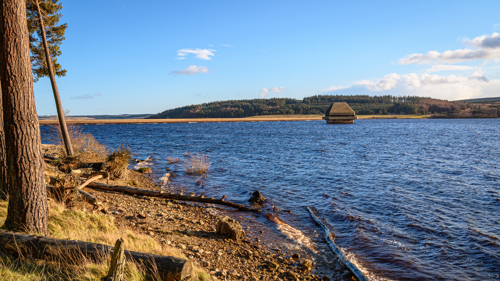 Kielder Water and Forest Park