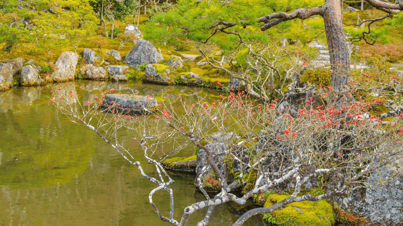 Kyoto Garden